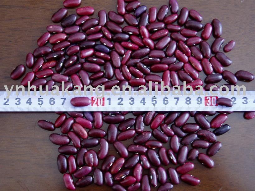 Dark Red Kidney Beans