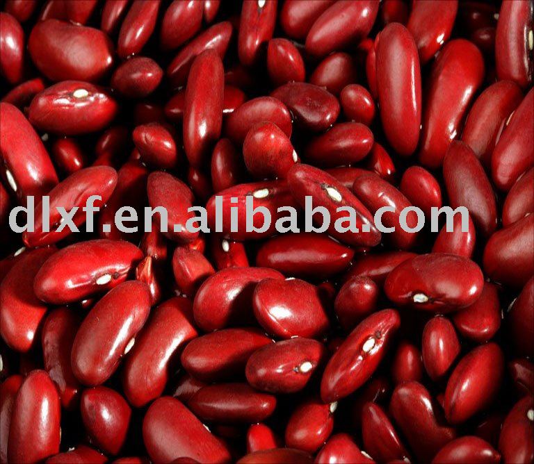red kidney bean(Britain)
