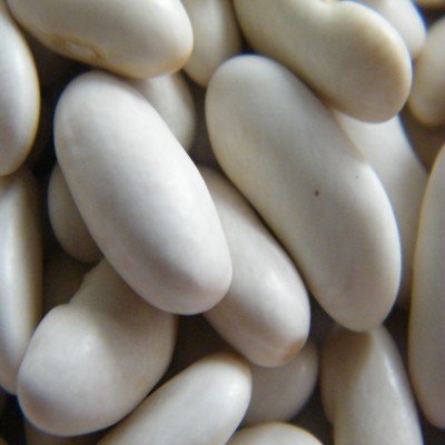 yunnan white Kidney Beans