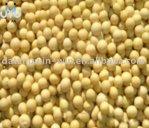 Soy and Health Food