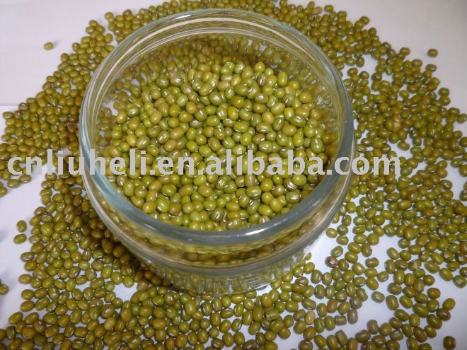 new crop green mung beans, mung beans 3.2mm-3.8mm