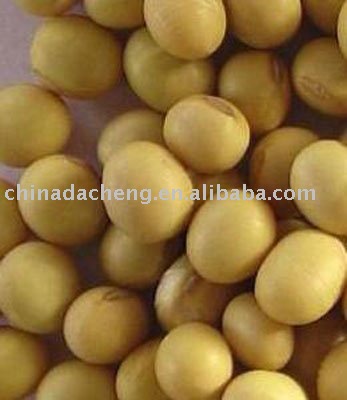 Chinese Yellow Soybean