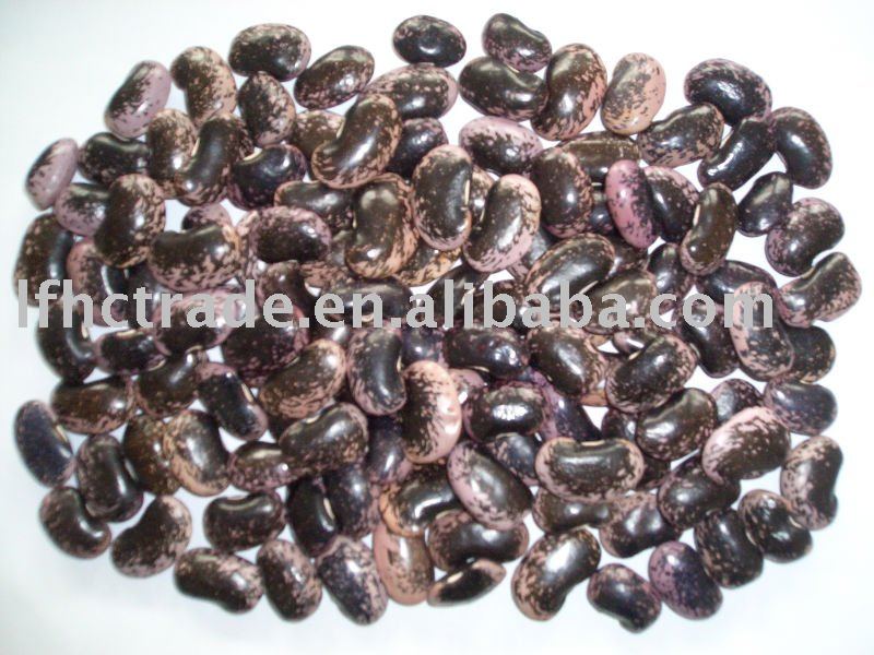 yunnan black Kidney Beans