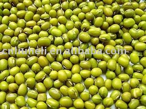 new crop green mung beans, mung beans
