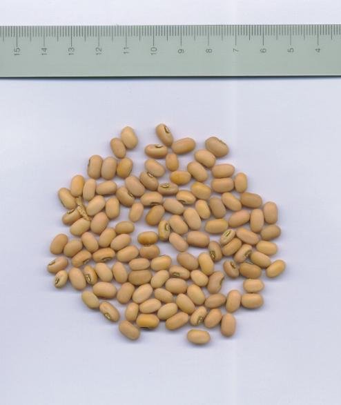 yellow cow peas