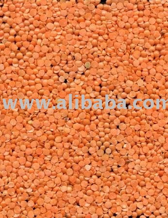 RED SPLIT LENTILS