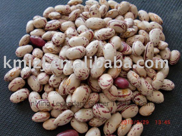 Round Light speckled kidney beans(LSKB)