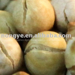 good quality chick-pea
