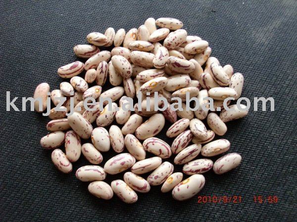 Wholesale Light speckled kidney beans