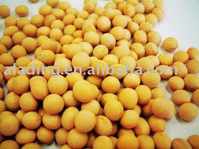 Soybean Isoflavones