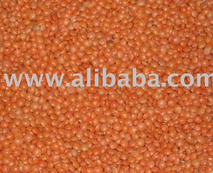 Lentils