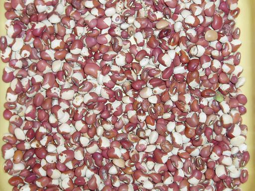 chinese colour cowpeas