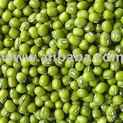 Green Mung Beans