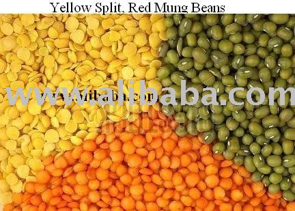  red   mung  Beans