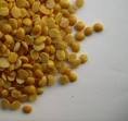 TOOR DAL