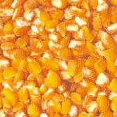 Broken Degerminated (Hominy) Maize  Corn,