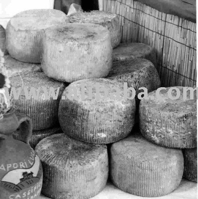 Pecorino
