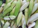  White  Corn