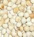 White Broomcorn Millet