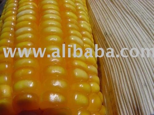 I Can Export Yellow Corn Maize from Vietnam