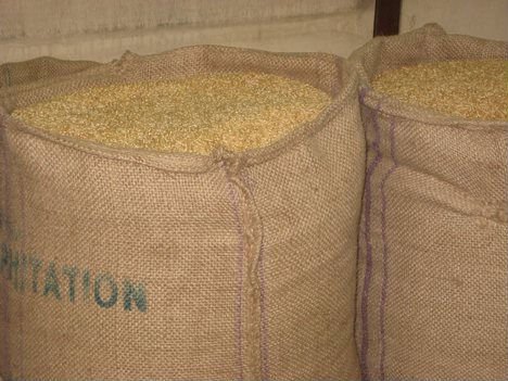 GRADE  A  MACHINE CLEAN  FEED   WHEAT   GRAIN S FOR SALE