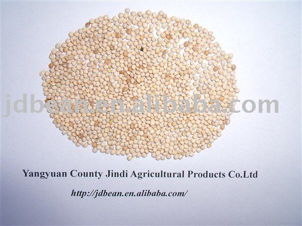 HPS Yellow/White Broom Corn Millet(GF1)