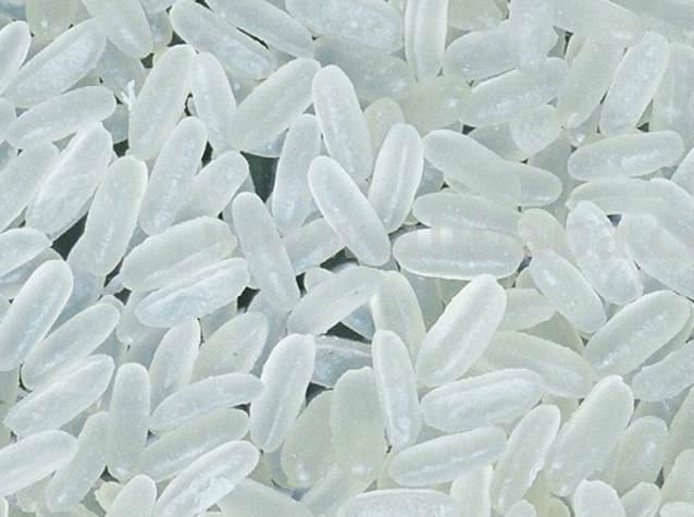 Broken rice with best price
