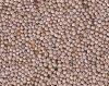 Organic Millet (Unhulled)