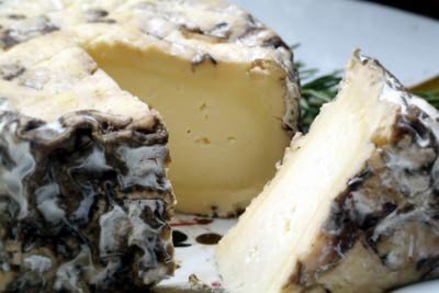Blue Goat Cheese