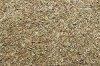 HIGH QUALITY RYE GRAIN