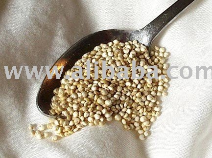 Quinoa
