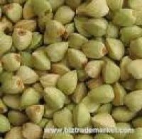 FRESH Buckwheat