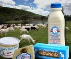 milk product