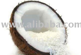 Desiccated Coconut Powder Available...