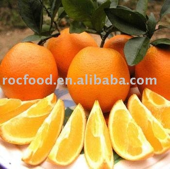 Chinese navel orange,China China Navel Orange price supplier - 21food