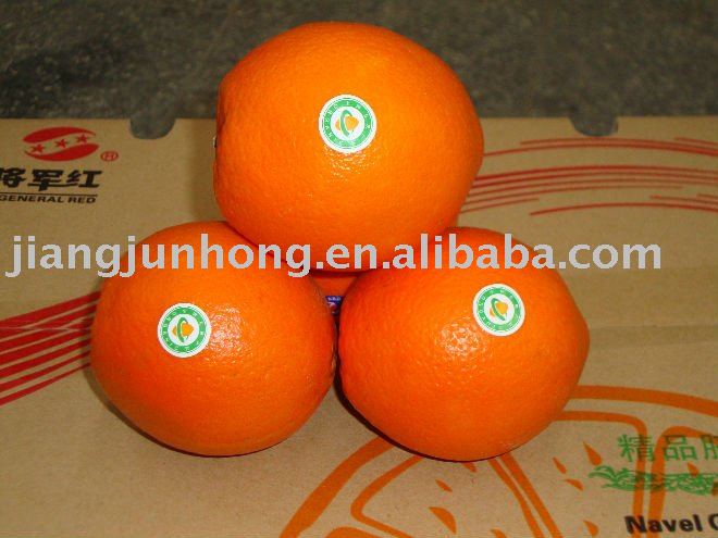 Fresh  Newhall Navel Orange 60mm