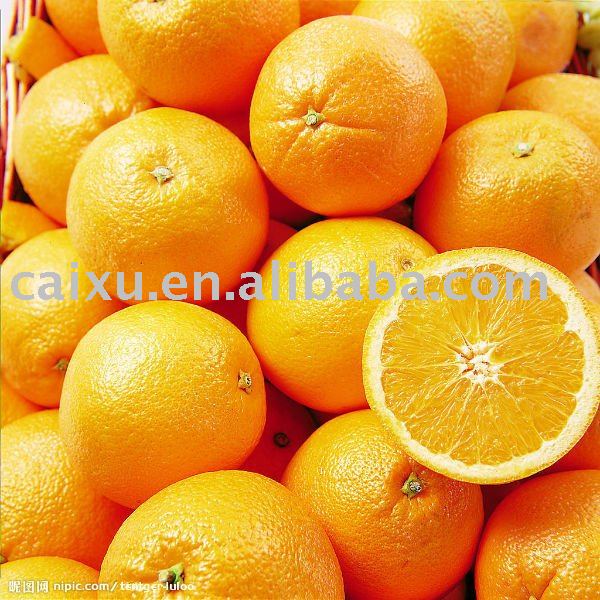 navel orange