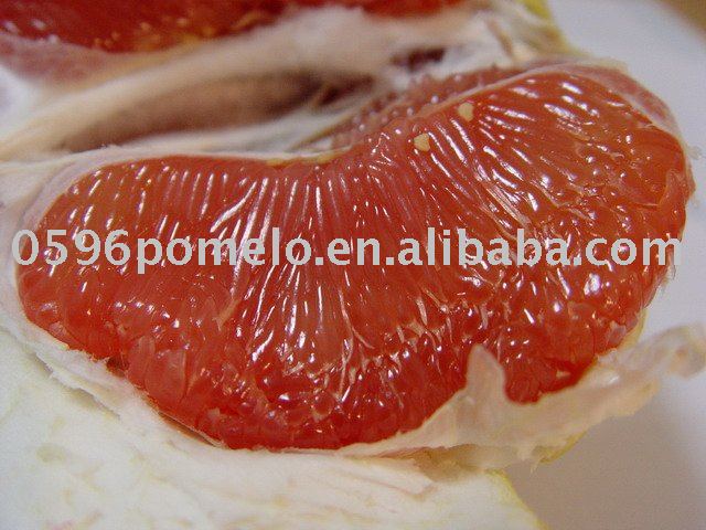 red pulp fresh pomelo supplier