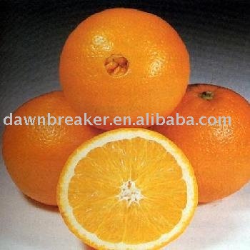 chinese fresh mandarin orange