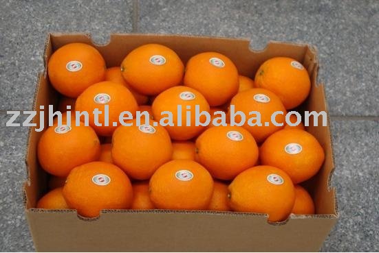 Fresh Naval Orange