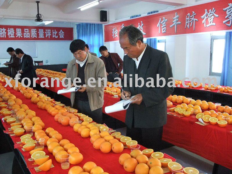 summer navel orange