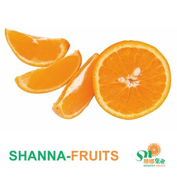  Jiangxi   Navel   Orange 