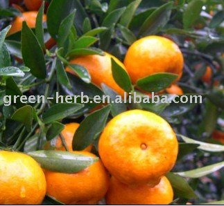  Citrus   Extract  / Flavonoids