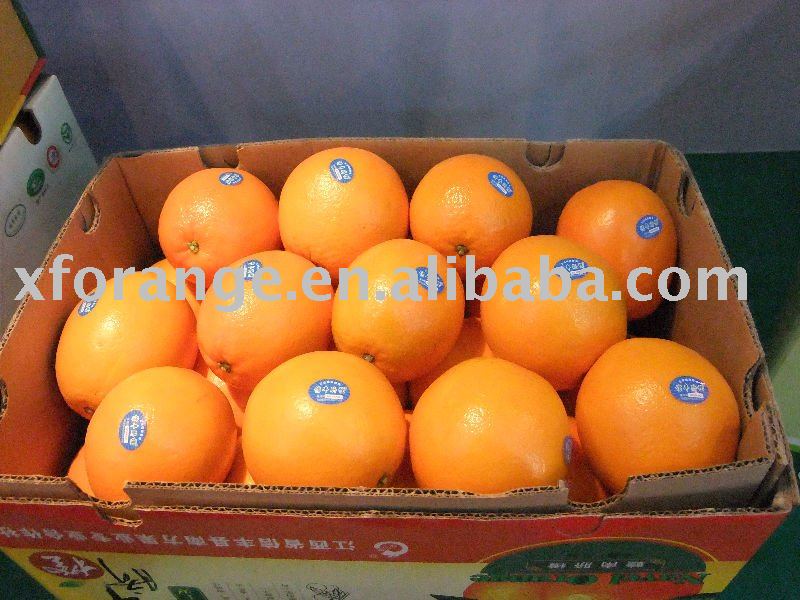 navel valencia orange