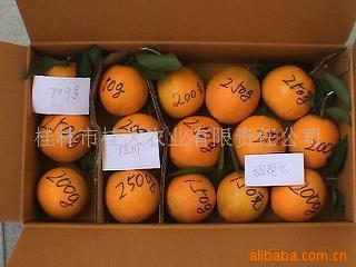 navel orange