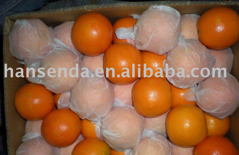 Navel orange