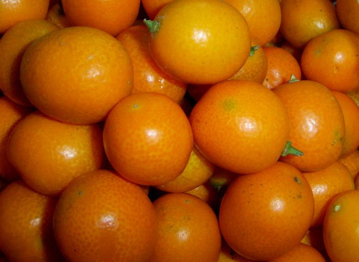 a kumquat