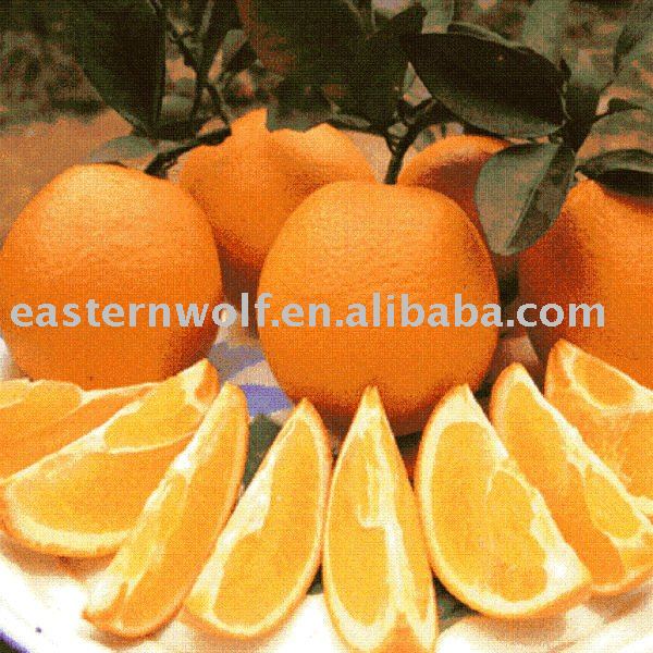 Fresh navel orange 1st grade, in 15kg carton package