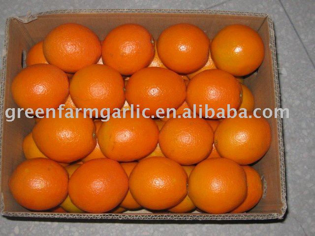 Fresh Navel Orange