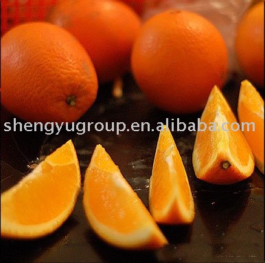  fresh   fruit - navel   orange 